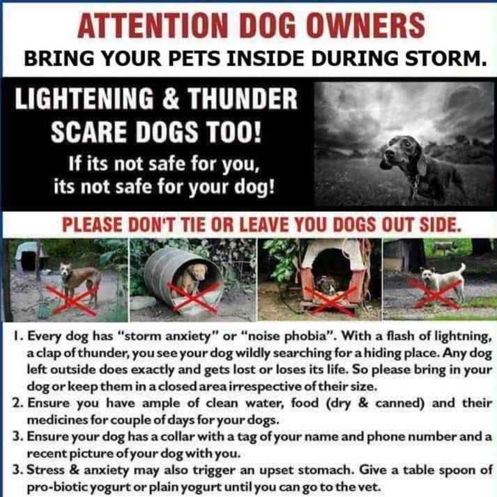 Attention-dog-owners-bring-your-pets-inside-during-storm